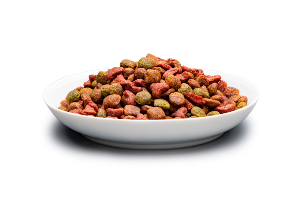 Premium dry dog and cat food manufacturing options